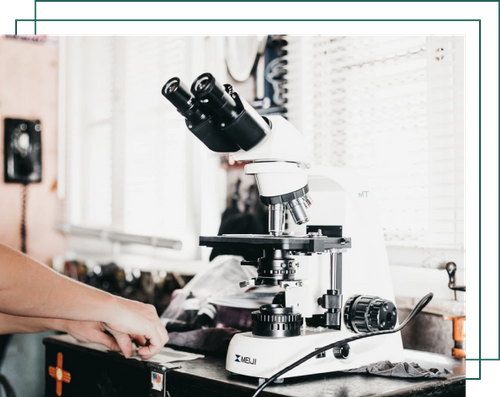 Scientist using microscope in laboratory